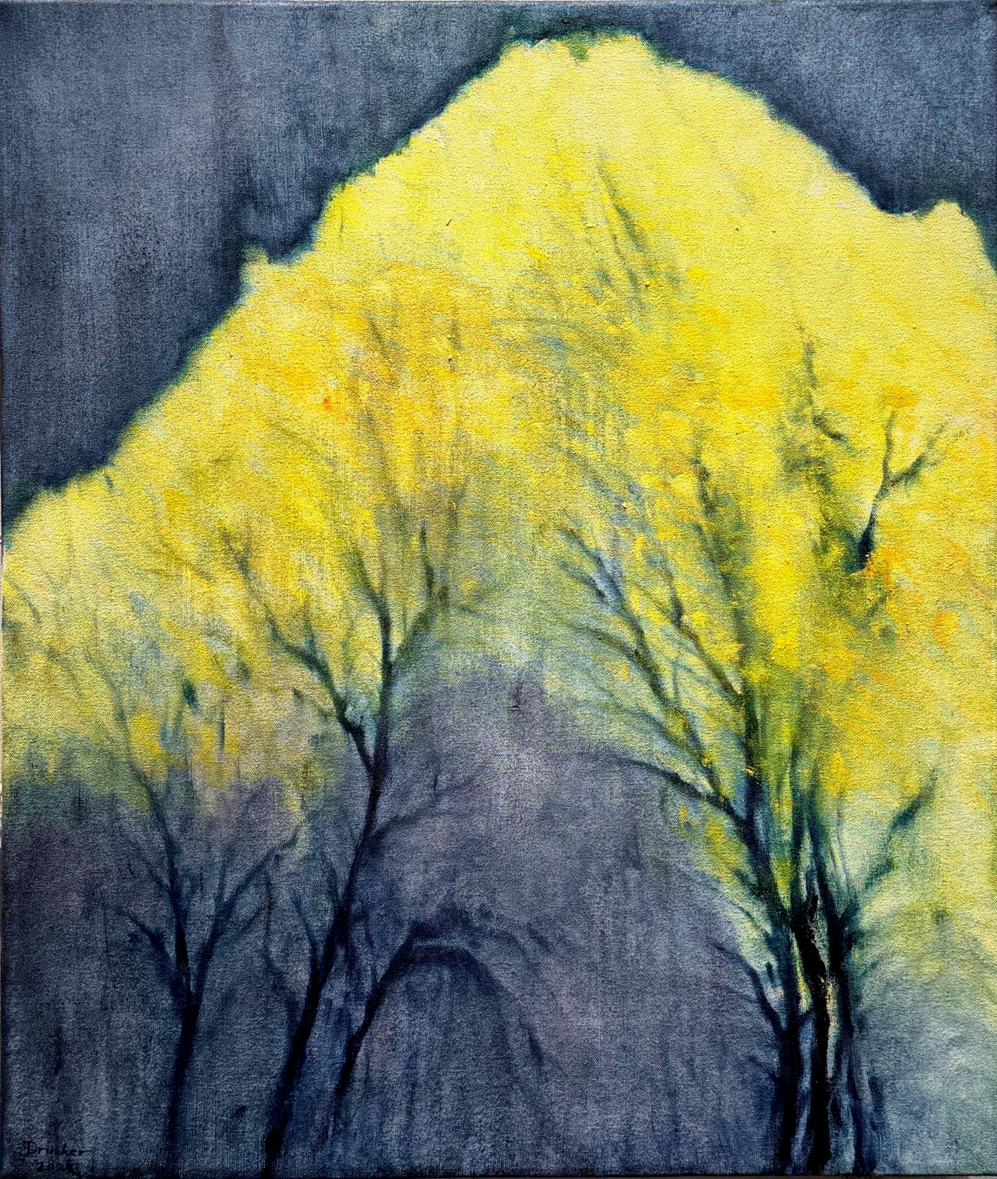 Beaches and Forests, 2019-26