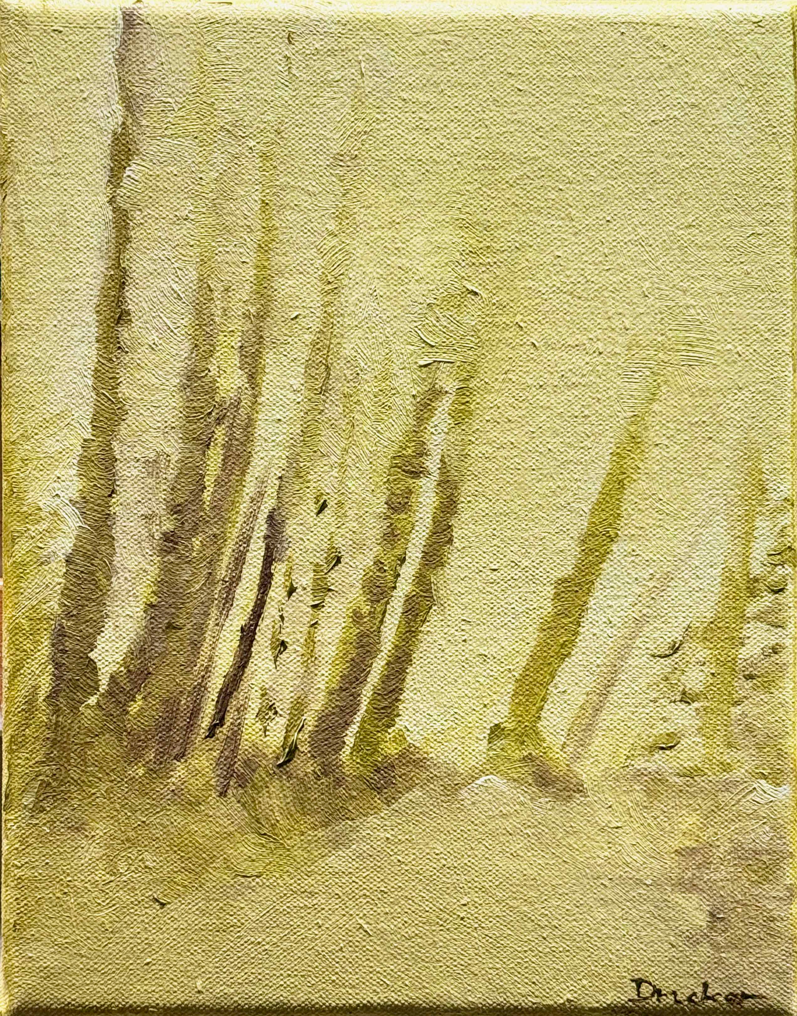 Our Bright Path Ahead