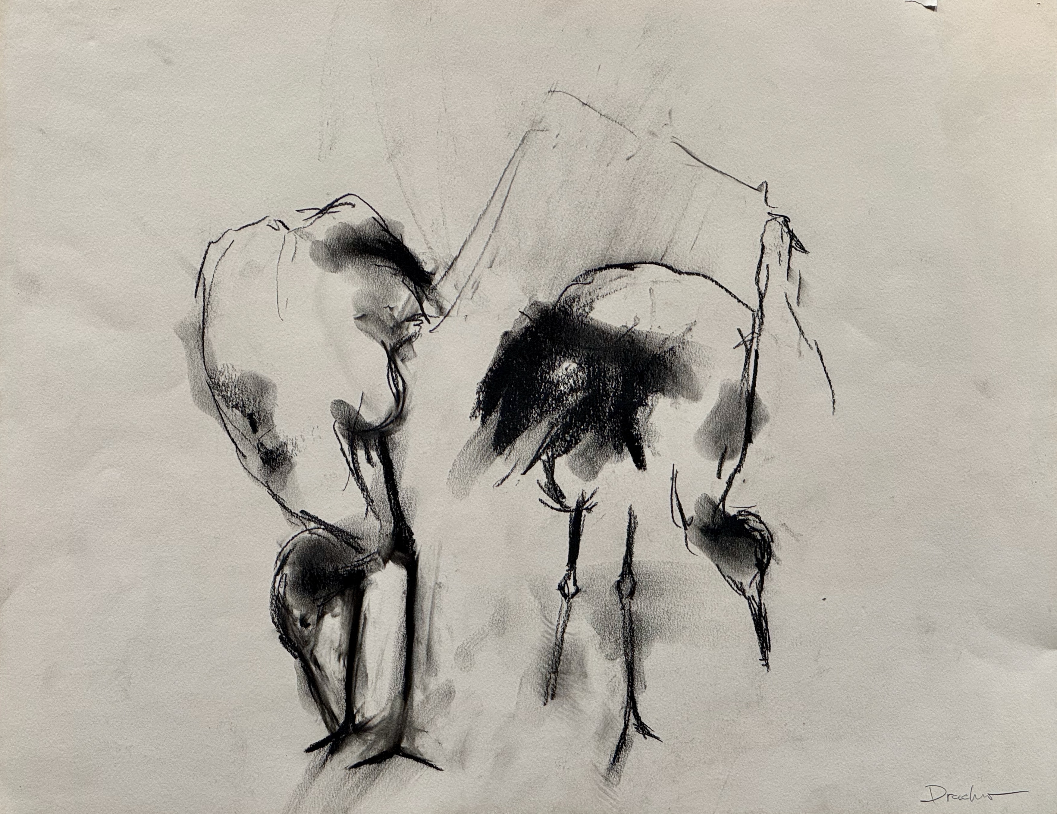 Crane Study 1
