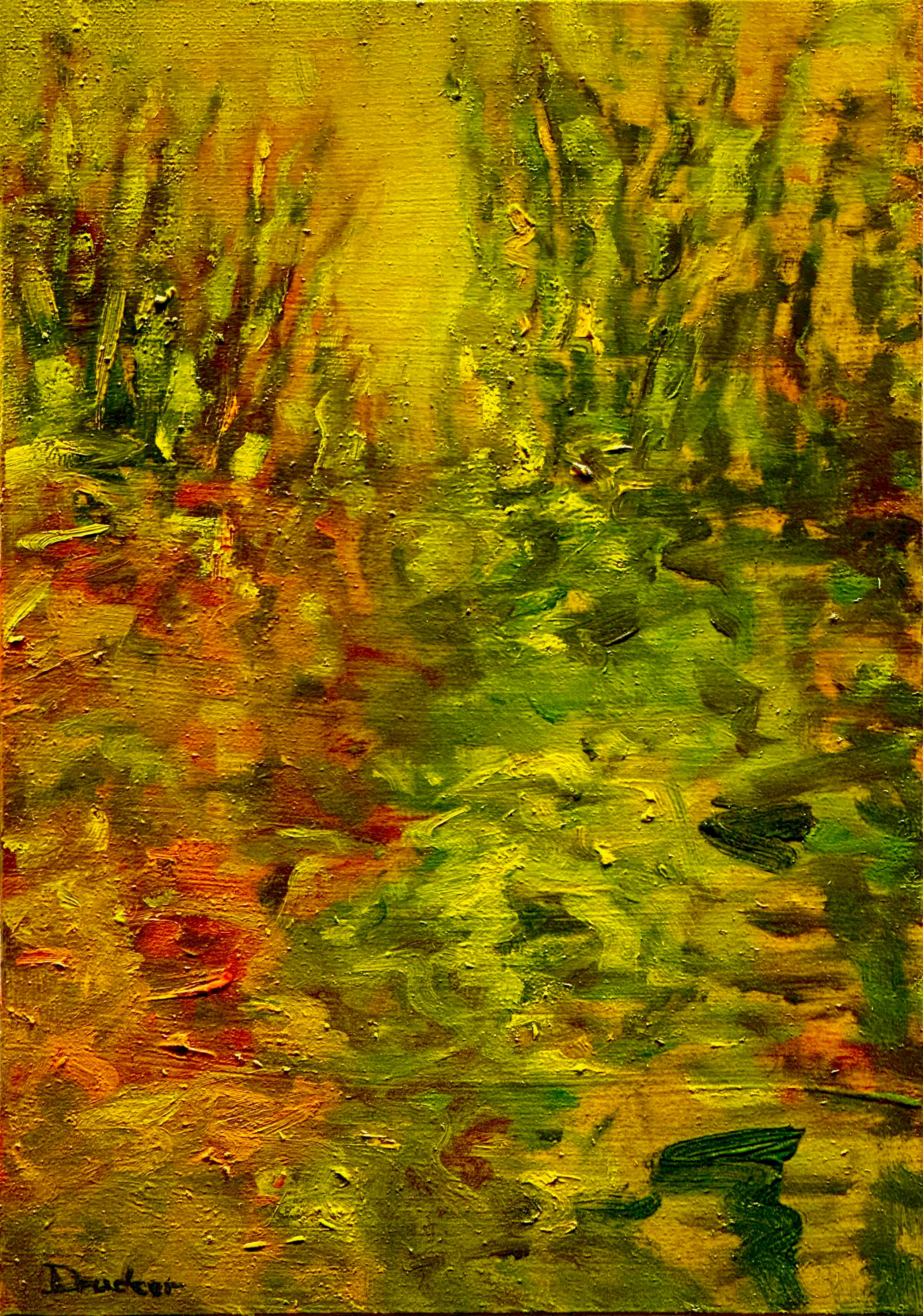 Reflections in Green and Red